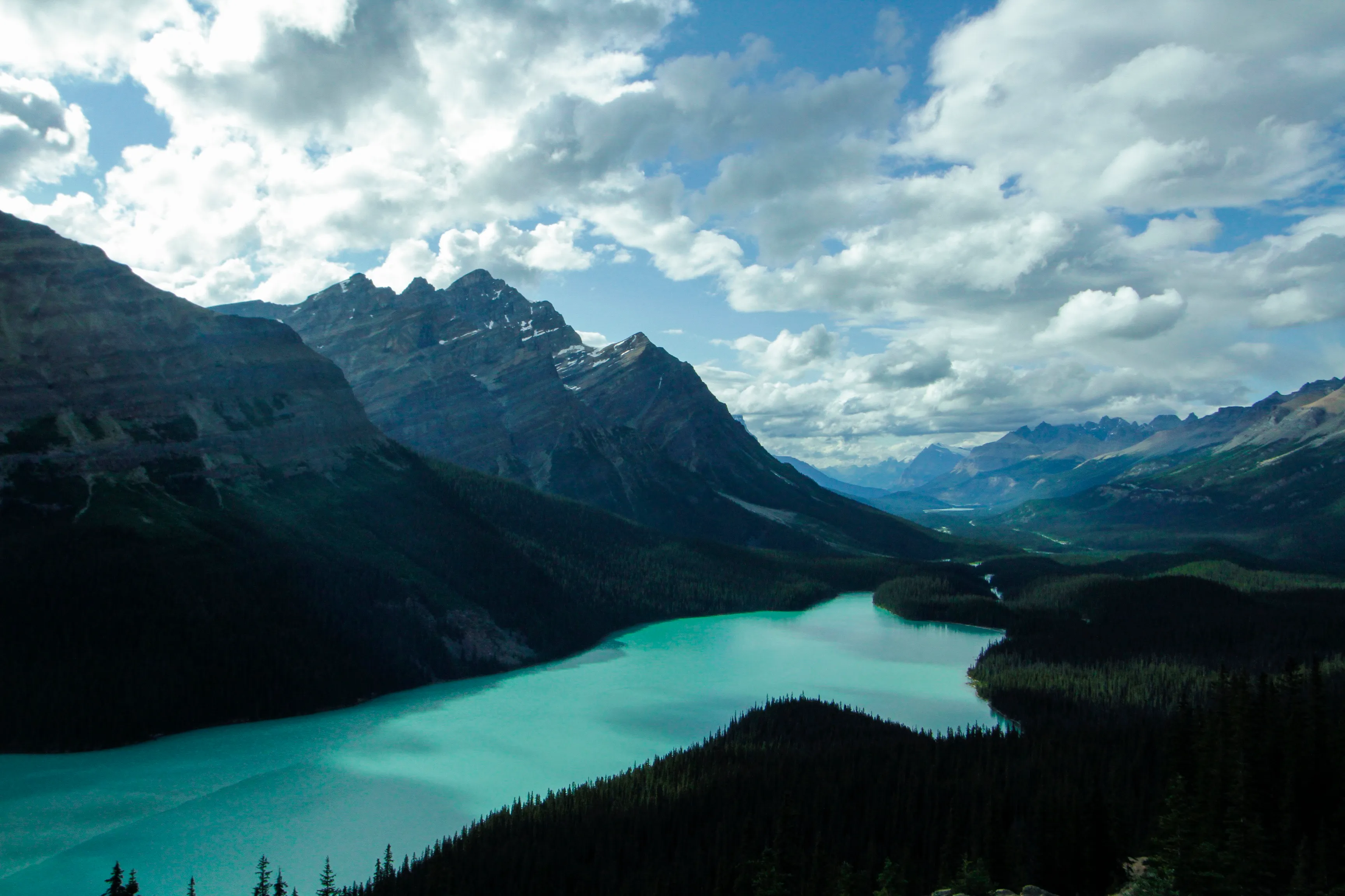 Peyto Lake's glacier-fed turquoise water seen from the lookout above the Icefields Parkway