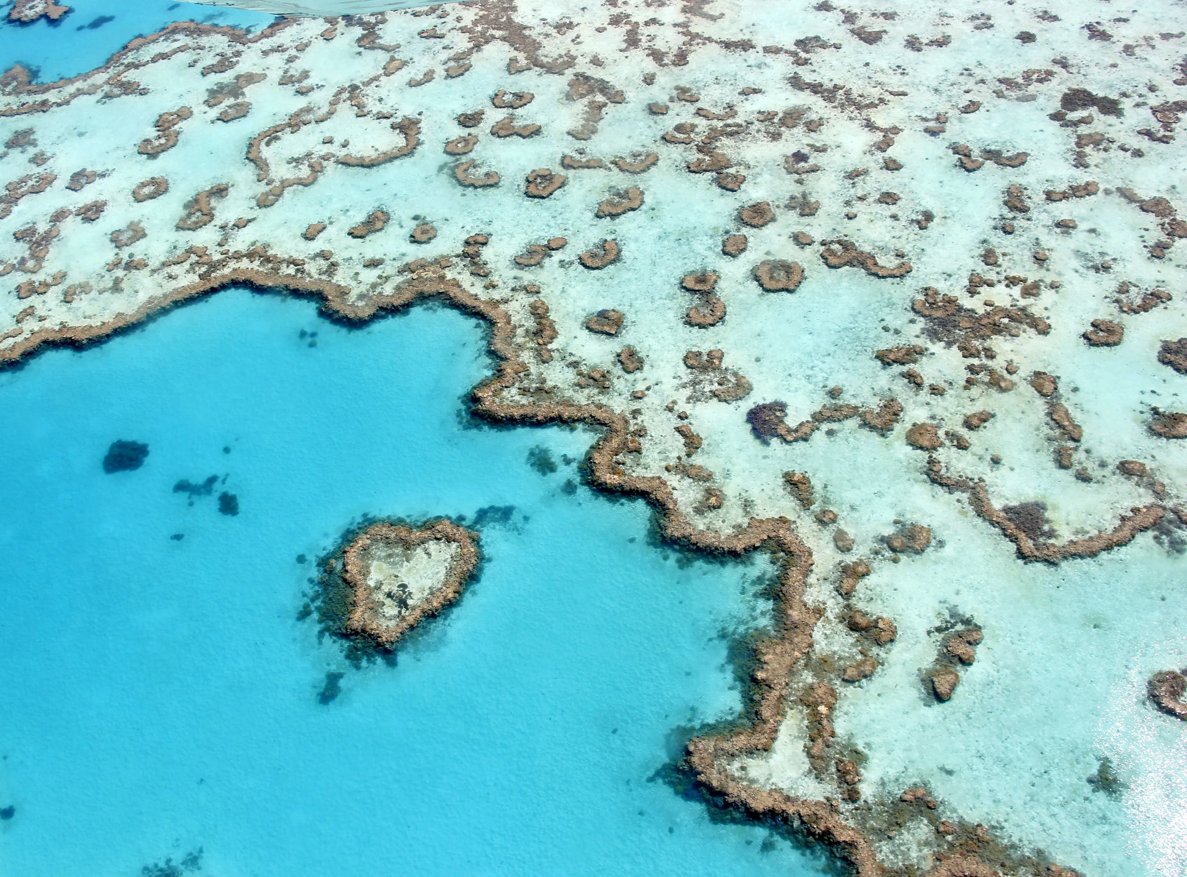 Heart Reef, a heart-shaped coral formation near the Whitsunday Islands