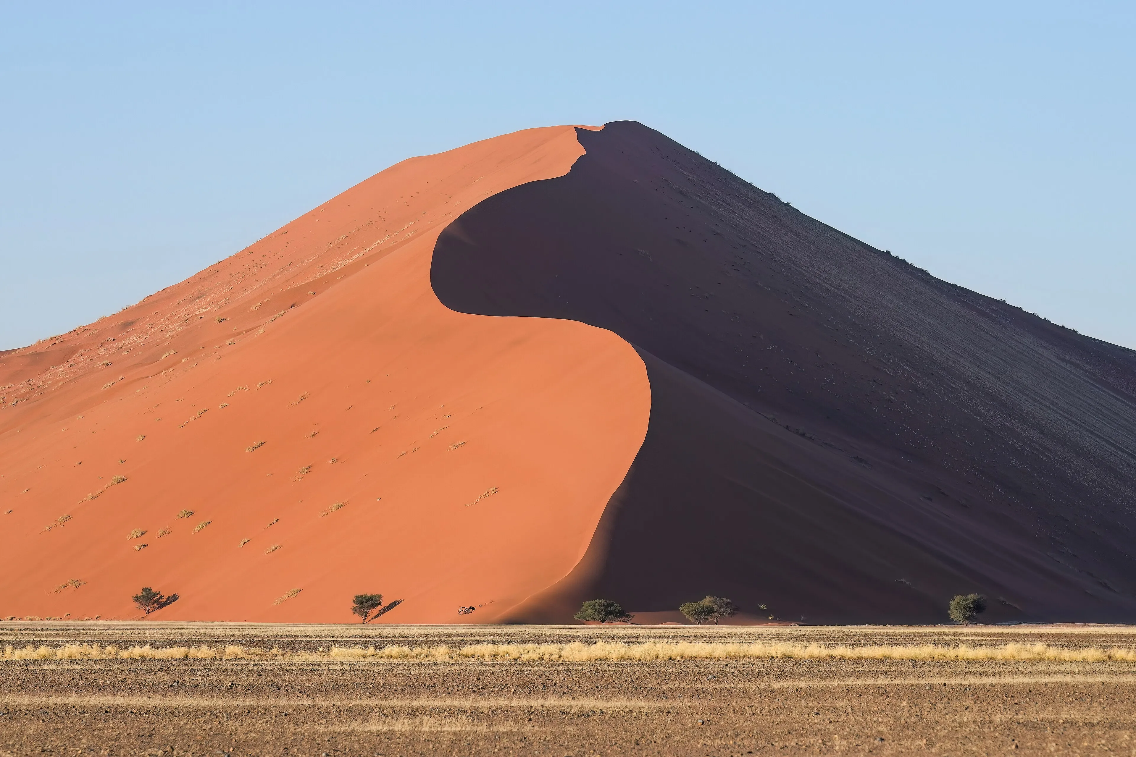Dune 45 in the Sossusvlei area lit by early-morning sun